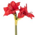 Kunstig rød amaryllisblomst med stilk, blomsterdekorasjon til jul, 50 cm | Floristik24.no