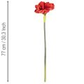 Kunstig amaryllisblomst, rød, lang stilk, til vase og arrangement, 77 cm | Floristik24.no