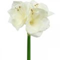 Floristik24 Kunstig blomst amaryllis hvit ridder stjerne juledekorasjon H40cm