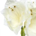 Floristik24 Kunstig blomst amaryllis hvit ridder stjerne juledekorasjon H40cm