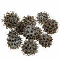 Floristik24 Sweetgum kjegler naturvasket hvit 250g