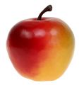 Apple Ø5,5 cm Cox 12 stk