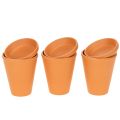 Floristik24 Aquasafe vannreservoar med insektsdrikketrau for hage, balkong, terrasse, 12 cm, 3 stk.