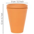 Aquasafe vannreservoar med insektsdrikketrau for hage, balkong, terrasse, 12 cm, 3 stk. | Floristik24.no
