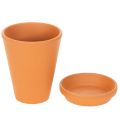 Aquasafe vannreservoar med insektsdrikketrau for hage, balkong, terrasse, 12 cm, 3 stk. | Floristik24.no