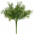 Floristik24 Aspargesbusk Ornamental aspargesplukk med 9 grener kunstig plante