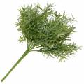 Floristik24 Aspargesbusk Ornamental aspargesplukk med 9 grener kunstig plante
