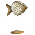 Floristik24 Tremetall dekorativ fisk maritim messing 33x11,5x37cm
