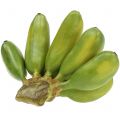 Floristik24 Baby banan flerårig kunstig grønn 13cm