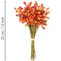 En bunt med appelsinbær, 20 cm lange | Floristik24.no