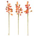 En bunt med appelsinbær, 20 cm lange | Floristik24.no