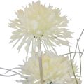 Floristik24 Kunstige blomster ballblomst allium prydløk kunstig hvit 90cm
