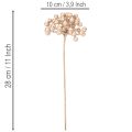 Kunstig bærgren, champagnefarget dekorasjon, 28 cm, 3 stk. | Floristik24.no
