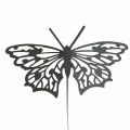 Floristik24 Blomsterplugg metall sommerfugl sort 10,5×8/44cm 3stk