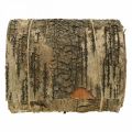 Floristik24 Bjørkebarkrull brun, grå bark for håndverk 15×300cm
