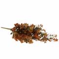 Floristik24 Buxus dekorativ gren høstlig 50cm