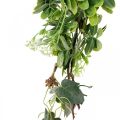 Floristik24 Bladkrans deco krans kunstplante grønn 180cm