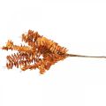 Floristik24 Kunstige planter høstdekor kunstige grenblader oransje 46cm