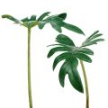 Floristik24 Philodendron blad 31cm grønn 12stk