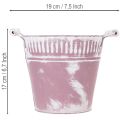 Bøtte i blikk, lilla og hvitvasket, Ø19 cm H17 cm, 1 stk. | Floristik24.no