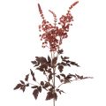 Floristik24 Kunstig blomst Astilbe langstilket prakt 80cm