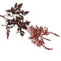 Kunstig blomst Astilbe