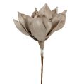 Floristik24 Blossom gren skumgrå 65cm