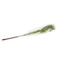 Floristik24 Blossom gren grønn, hvit 80cm 3stk