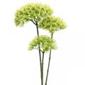 Floristik24 Kunstig blomstergren Gul fennikel kunstig gren med 3 blomster 85cm