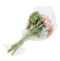 Floristik24 Hortensia rosa snødd 33cm 4stk