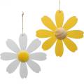 Floristik24 Treblomster, sommerdekor, tusenfryd gul og hvit, dekorasjonsblomster til oppheng 4 stk.