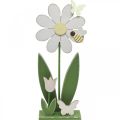 Floristik24 Blomst å sette, vårpynt med sommerfugler H36,5cm