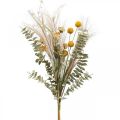 Floristik24 Kunstige blomster Craspedia fjær gress eukalyptus 55cm haug