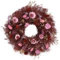 Floristik24 Blomsterkrans, tørket blomsterkrans, vinrød, rosa, Ø25 cm