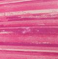 Floristik24 Blomsterpapir 37,5 cm rosa striper 100 meter