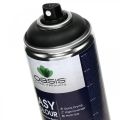 Floristik24 OASIS® Easy Color Spray, malingsspray sort 400ml