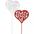 Floristik24 Blomsterplugg hjerte rød, hvit pynteplugg Valentinsdag 7cm 12stk