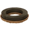 Floristik24 Blomsterskumring OASIS® Renewal® Blomsterskum Biolit® 24 cm 2 stk
