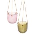 Floristik24 Glassblomsterpotte/hengelykt, lilla/grønn, 14 cm, 2 stk.