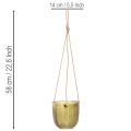Glassblomsterpotte/hengelykt, lilla/grønn, 14 cm, 2 stk. | Floristik24.no