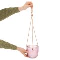 Glassblomsterpotte/hengelykt, lilla/grønn, 14 cm, 2 stk. | Floristik24.no
