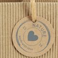 Blomsterkrukke av papir ribbet med folie 12x12cm 8 stk | Floristik24.no