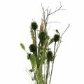 Floristik24 Wildflower bukett naturlig, grønn 25–60cm 70g