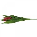 Floristik24 Bromelia kunst Rosa Kunstig blomst til pinne 54cm