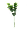 Floristik24 Boxwood gren grønn L20cm 12stk