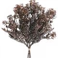 Kunstige planter brun høstpynt vinterdekor Drylook 38cm 3stk