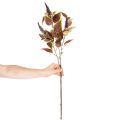 Kunstig coleus med røde blader, kunstig plante, 20 cm | Floristik24.no