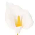 Kunstig calla med gul støvbærer, dekorative blomster, 35 cm, 10 stk. | Floristik24.no