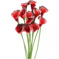 Floristik24 Calla røde bordeaux kunstige blomster i en haug 57cm 12stk