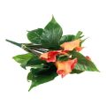 Floristik24 Calla Lily Aprikos Calla Kunstige Blomster Orange Eksotisk 44cm
